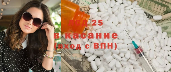 винт Алзамай