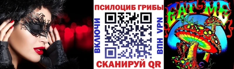 Псилоцибиновые грибы Psilocybe Белоярский